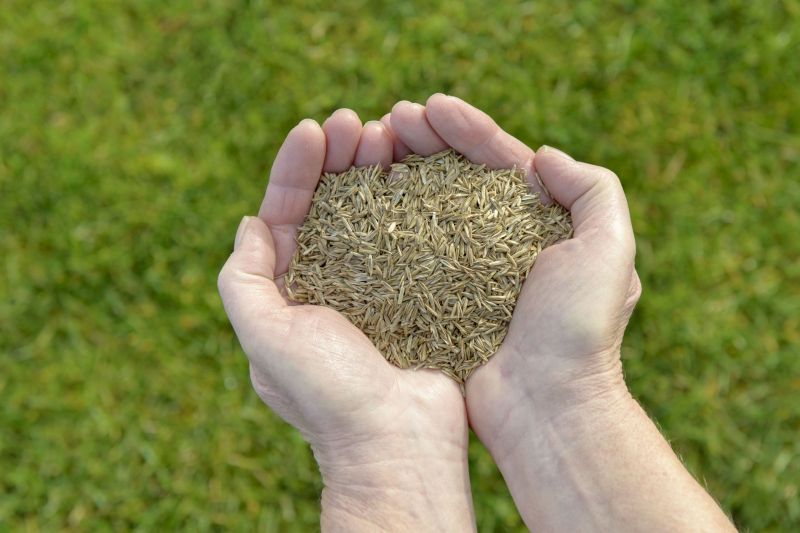 Commercial Groundskeeping