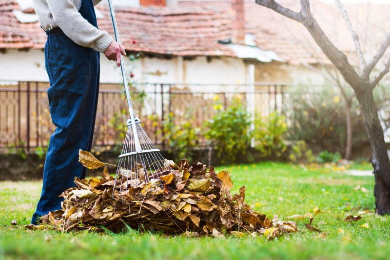 Clean Yard with Piles of Leaves