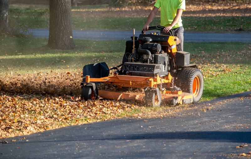 Equipment for Fall Cleanup