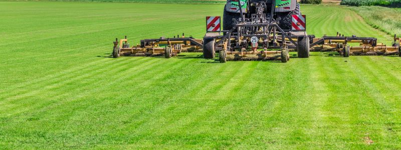 Grass Mowing