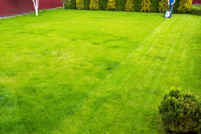 Trimmed and Tidy Lawns