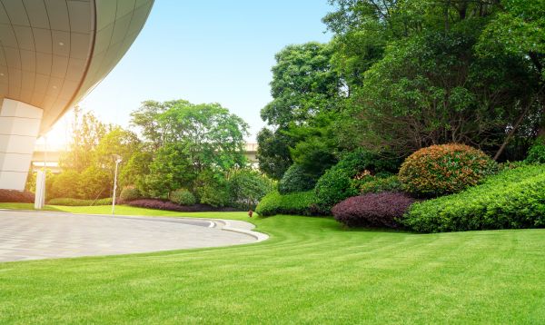Cost of Commercial Lawn Mowing in Jonesboro