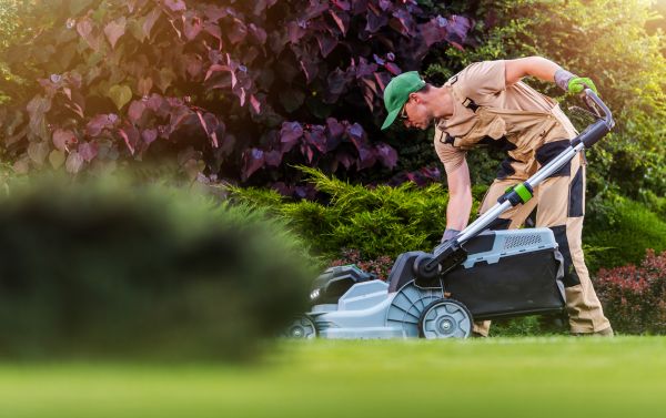 Cost of Lawn Care And Maintenance in Jonesboro