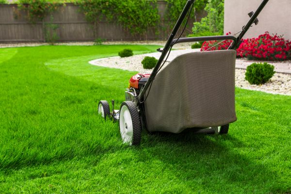 Cost of Lawn Mowing in Jonesboro