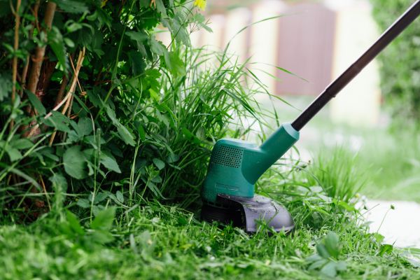 Cost of Weed Whacking in Jonesboro