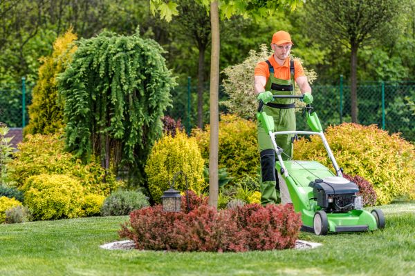 Cost of Yard Service in Jonesboro
