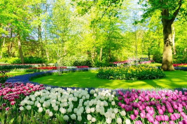 Cost of Spring Lawn Care in Jonesboro