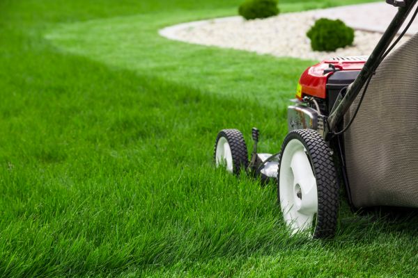 Cost of Lawn Service in Jonesboro
