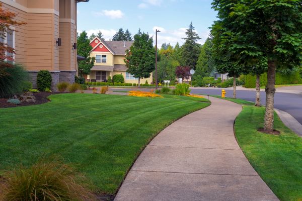 Cost of Home Lawn Maintenance in Jonesboro