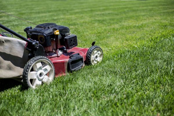 Cost of Routine Lawn Care in Jonesboro