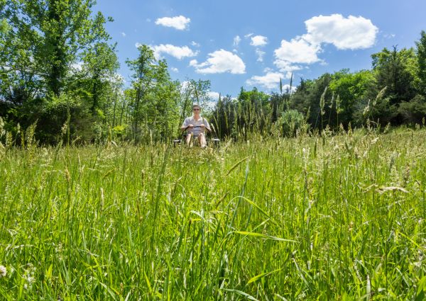 Cost of Long Grass Mowing in Jonesboro