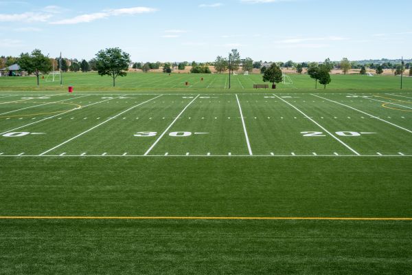 Cost of Groundskeeping Service in Jonesboro