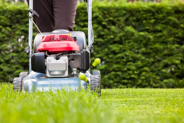 Cost of Grass Trimming Service in Jonesboro