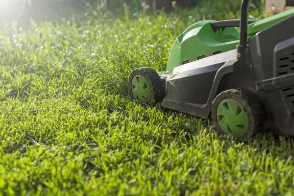 Cost of Lot Mowing in Jonesboro