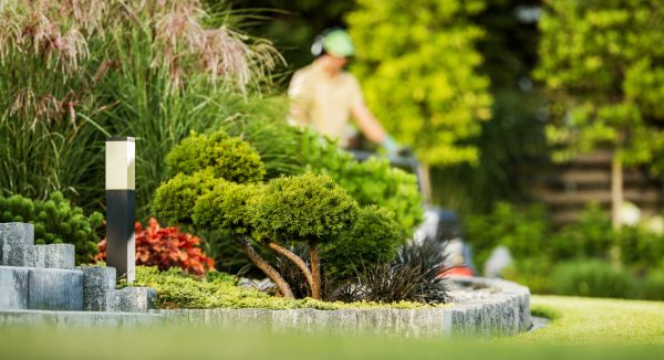 Cost of Residential Yard Maintenance in Jonesboro