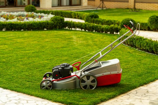Cost of Business Grass Cutting in Jonesboro