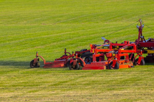 Cost of Industrial Lawn Service in Jonesboro