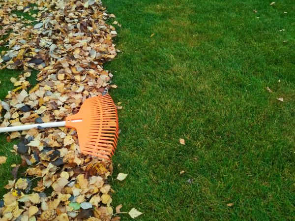 Cost of Fall Lawn Care in Jonesboro
