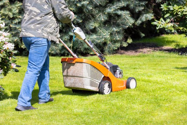 Cost of Springtime Lawn Care in Jonesboro