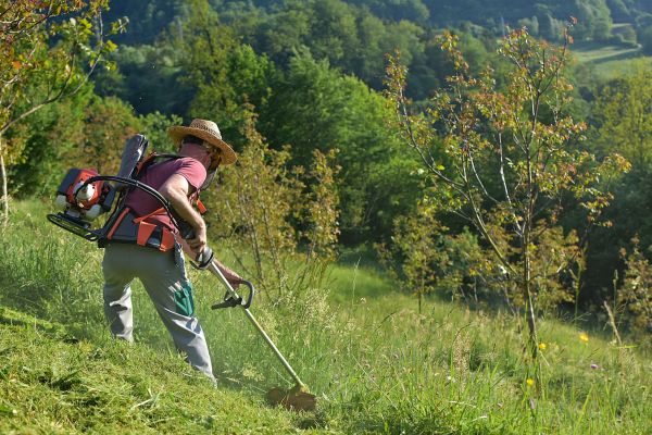 Cost of Slope Mowing in Jonesboro