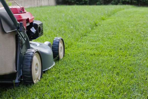 Cost of Spring Lawn Maintenance in Jonesboro