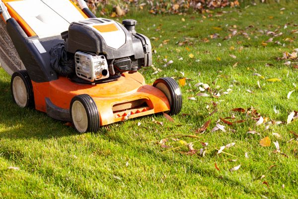 Cost of Fall Mowing in Jonesboro