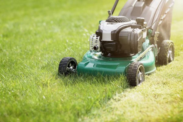 Cost of Spring Grass Trimming in Jonesboro