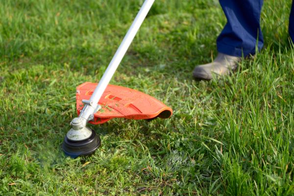 Cost of Lawn Weed Whacking in Jonesboro