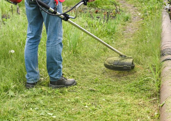 Cost of Tall Grass Trimming in Jonesboro